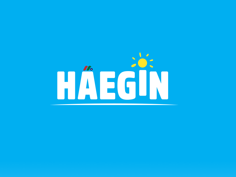 韩国休闲和社交游戏开发商和发行商：HAEGIN Co., Ltd.